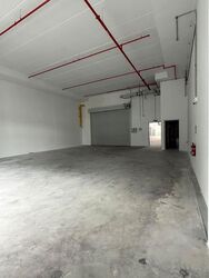 Ct Foodnex (D25), Factory #590446661